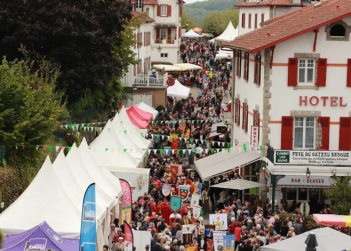 Confortable Avec Jardin Et Parking à - Fr-1-4-703 Apartamento